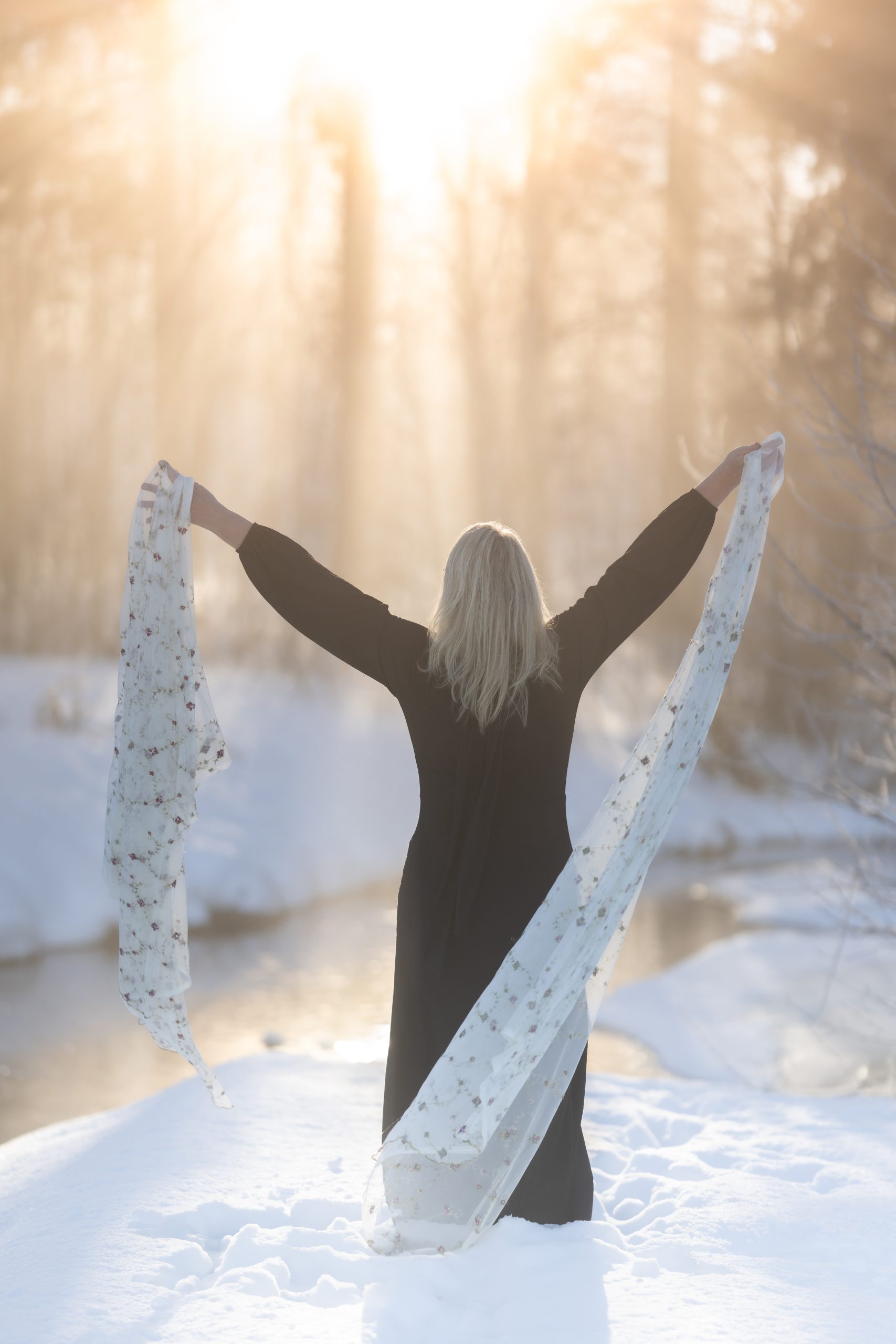 Styrkemøte Januar 2024